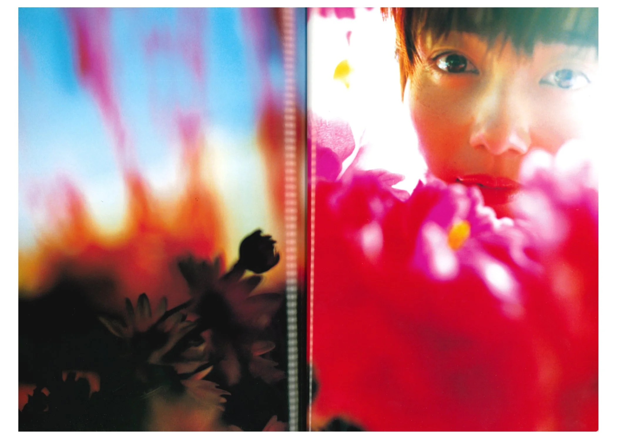 Shincho Mook Magazine 043 [2003] — Hi-Fi Sci-Fi